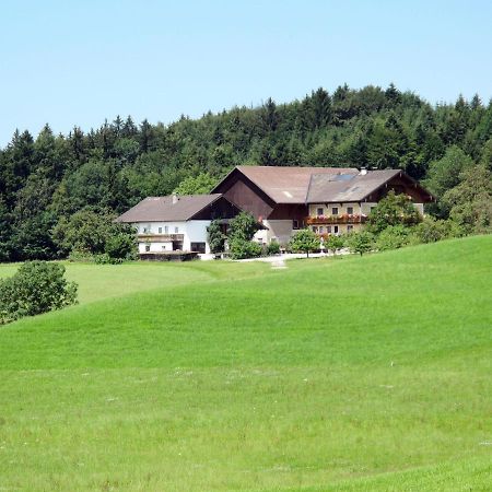 Apartment Bauernhof Vorderroid - Mon400 Oberhofen am Irrsee Exteriér fotografie